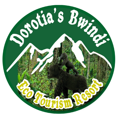 Dorotias Bwindi Eco Tourism Resort